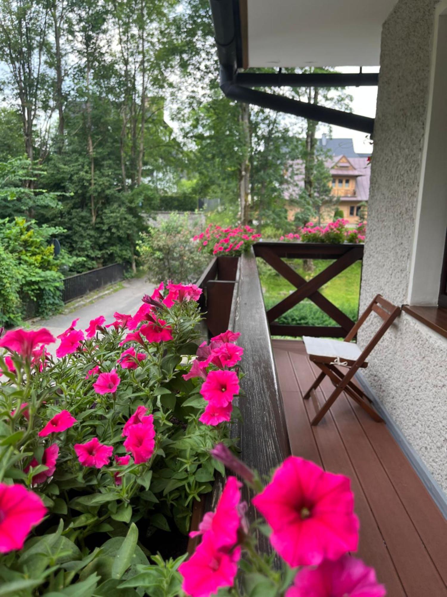 Marina Zakopane Bed and Breakfast Rum bild
